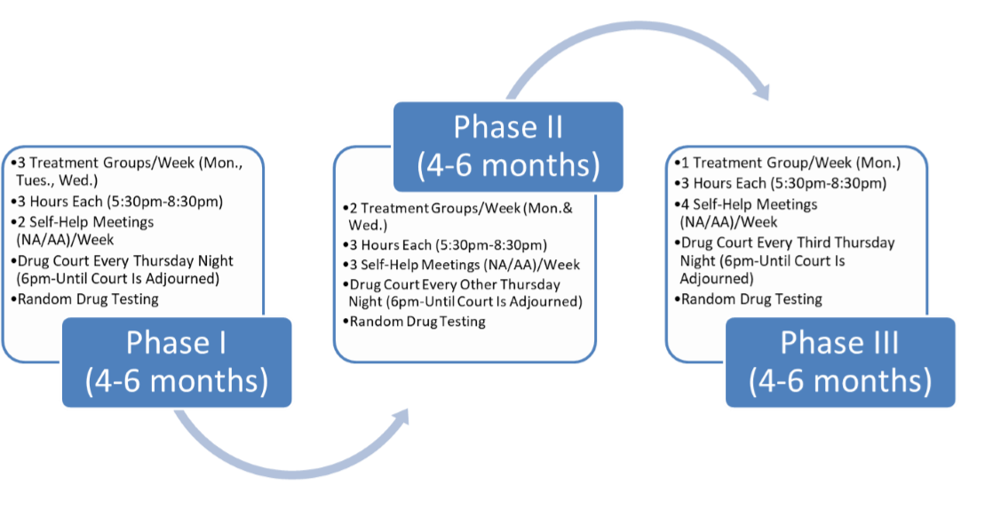 Drug Court Flow chart